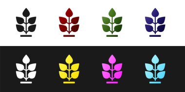 Bitki simgesini siyah beyaz arkaplanda izole et. Tohum ve tohum. İşaret bırakıyor. Yaprak doğası. Vektör