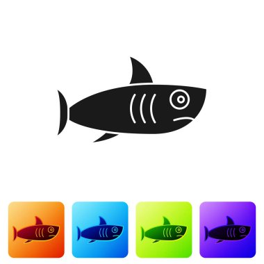 Siyah Köpekbalığı simgesi beyaz arkaplanda izole edildi. Renkli kare düğmelerle simgeleri ayarla. Vektör.