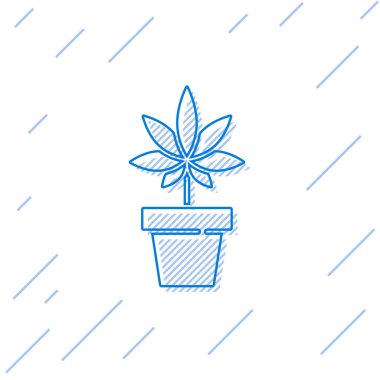 Mavi çizgi. Tıbbi marihuana veya esrar bitkisi. Beyaz arka planda izole edilmiş bir esrar ikonu. Esrar yetiştirme konsepti. Kenevir saksısı. Vektör İllüstrasyonu.