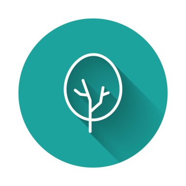 Beyaz çizgi ağaç simgesi uzun gölgeli izole edilmiş. Orman sembolü. Yeşil daire düğmesi. Vektör.