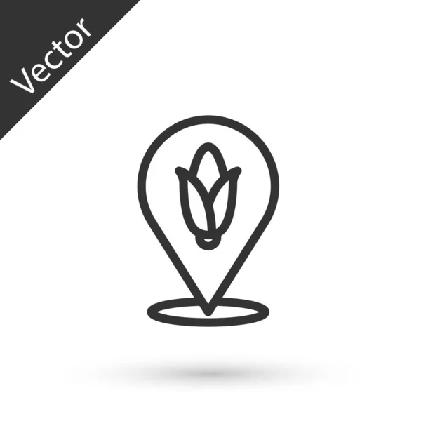 Graue Linie Standort Mais Symbol Isoliert Auf Weißem Hintergrund Vektor — Stockvektor