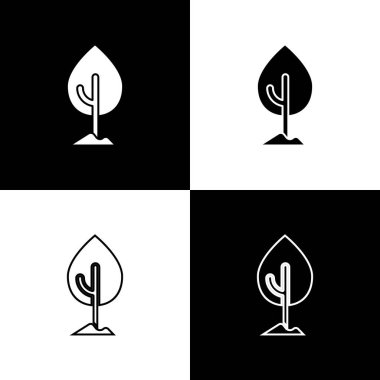 Ağaç simgesini siyah beyaz arkaplanda izole et. Orman sembolü. Vektör.