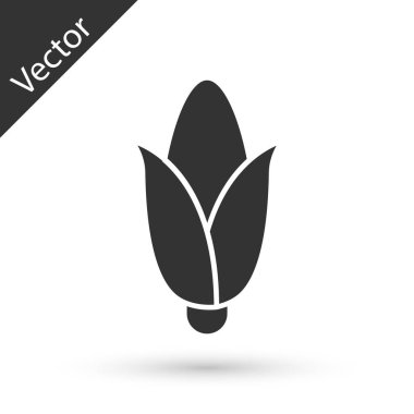 Beyaz arkaplanda gri mısır ikonu izole edildi. Vektör.