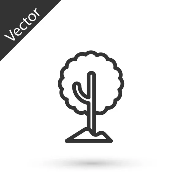 Icono Árbol Línea Gris Aislado Sobre Fondo Blanco Símbolo Forestal — Vector de stock