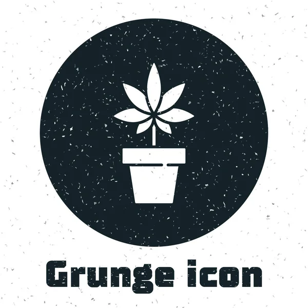 Grunge Marihuana Medicinal Planta Cannabis Maceta Icono Aislado Sobre Fondo — Vector de stock