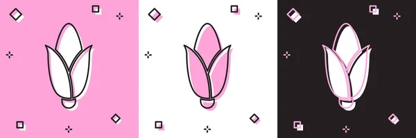 Definir ícone de milho isolado em rosa e branco, fundo preto. Vetor — Vetor de Stock