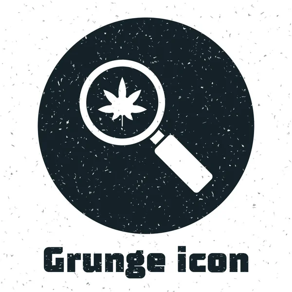 Grunge Lupe Und Medizinisches Marihuana Oder Cannabis Blatt Symbol Isoliert — Stockvektor