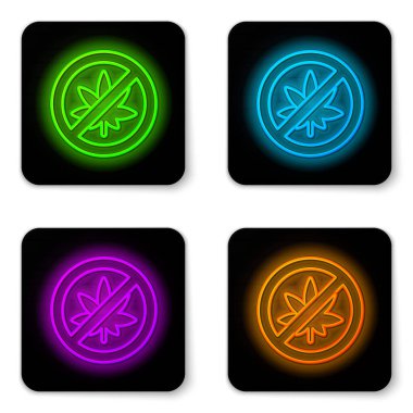 Parlayan neon hattı beyaz arka planda izole edilmiş esrar ya da kenevir yaprağı ikonunu durdurun. Marihuana içmek yok. Kenevir sembolü. Siyah kare düğme. Vektör İllüstrasyonu.