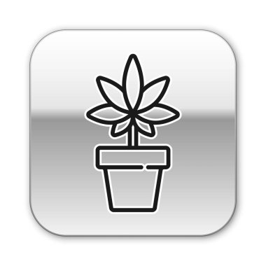Siyah çizgi. Tıbbi marihuana veya esrar bitkisi. Beyaz arka planda izole edilmiş bir esrar ikonu. Esrar yetiştirme konsepti. Kenevir saksısı. Gümüş kare düğme. Vektör İllüstrasyonu.
