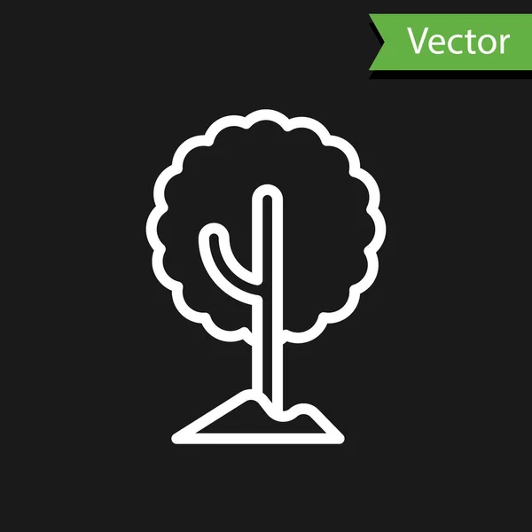 Weiße Linie Baum Symbol Isoliert Auf Schwarzem Hintergrund Symbol Wald — Stockvektor