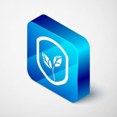 Gri arkaplanda yaprak simgesi olan Isometric Shield. Yapraklı çevre dostu güvenlik kalkanı. Mavi kare düğme. Vektör