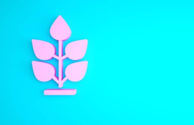 Pembe Bitki simgesi mavi arkaplanda izole edildi. Tohum ve tohum. İşaret bırakıyor. Yaprak doğası. Minimalizm kavramı. 3d illüstrasyon 3B canlandırma.