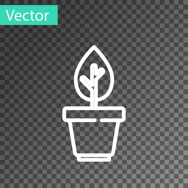 Línea Blanca Planta Maceta Icono Aislado Sobre Fondo Transparente Planta — Vector de stock