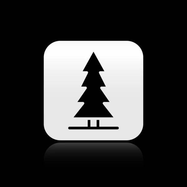 加拿大黑人云杉图标孤立在黑色背景 森林云杉 银方按钮 — 图库矢量图片