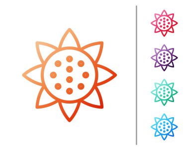 Kırmızı çizgi Ayçiçeği simgesi beyaz arkaplanda izole edildi. Renk simgelerini ayarla. Vektör.