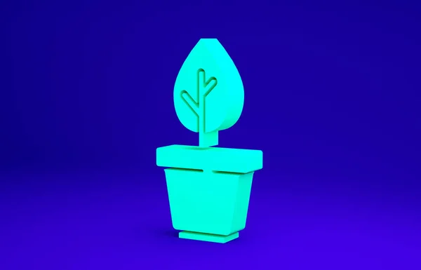 Zielona Roślina w ikonie garnka izolowane na niebieskim tle. Roślina rosnąca w doniczce. Rośliny doniczkowe. Koncepcja minimalizmu. Ilustracja 3D 3D renderowania — Zdjęcie stockowe