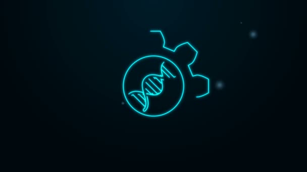 Glowing neon line Genetic engineering icon isolated on black background. DNA analysis, genetics testing, cloning, paternity testing. 4K Video motion graphic animation — Stock Video