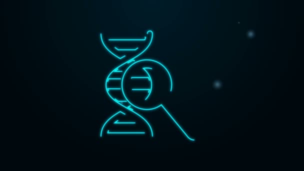 Žhnoucí neonové linie DNA výzkum, hledání ikona izolované na černém pozadí. Lupa a řetěz DNA. Genetické inženýrství, klonování, testování otcovství. Grafická animace pohybu videa 4K — Stock video