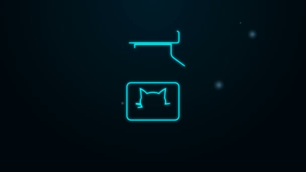 Zářící neonová čára Kočičí lék láhev ikona izolované na černém pozadí. Kontejner s prášky. Lék na předpis pro zvířata. Grafická animace pohybu videa 4K — Stock video