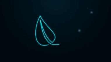 Siyah arkaplanda izole edilmiş yaprak simgesinde parlayan neon hattı elektrik kaydediliyor. Enerji tasarrufu ikonu. Çevre koruma ikonu. Biyolojik enerji. 4K Video hareketli grafik canlandırması
