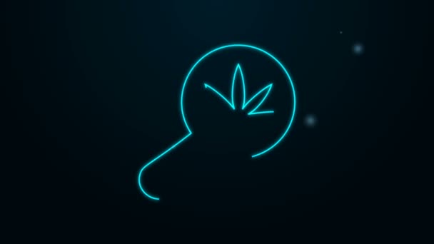 Linha de néon brilhante Magnifying glass and medical marijuana or cannabis leaf icon isolated on black background. Símbolo de cânhamo. Animação gráfica em movimento de vídeo 4K — Vídeo de Stock