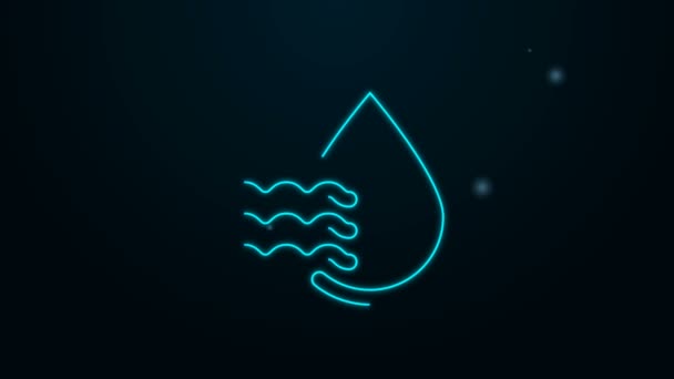 Świecąca neonowa linia Procentowa ikona kropli wody izolowana na czarnym tle. Analiza wilgotności. 4K Animacja graficzna ruchu wideo — Wideo stockowe