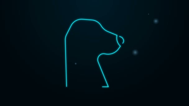 Glowing neon line Dog icon isolated on black background. 4K Video motion graphic animation — Stock Video