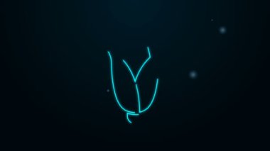 Parlayan neon hattı mısır ikonu siyah arkaplanda izole edildi. 4K Video hareketli grafik canlandırması