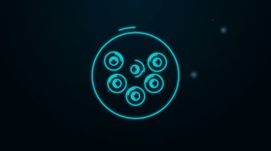 Siyah arka planda izole edilmiş bir plaka simgesinde parlayan neon hattı havyarı. 4K Video hareketli grafik canlandırması