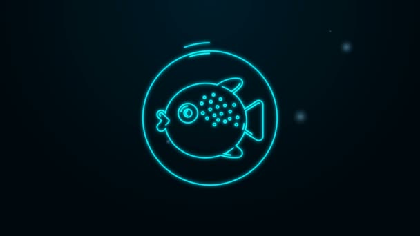 Línea de neón brillante Peces globo en un icono de placa aislado sobre fondo negro. Fugu pescado pez globo japonés. Animación gráfica de vídeo 4K — Vídeos de Stock