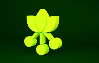 Sarı kahve çekirdeği, yeşil arka planda yaprak ve dut ikonu olan bir dal. Yapraklı bitki, dut, meyve, tohum. Minimalizm kavramı. 3d illüstrasyon 3B canlandırma.