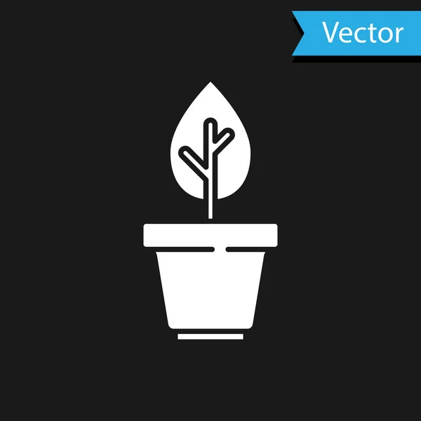 Planta Blanca Maceta Icono Aislado Sobre Fondo Negro Planta Creciendo — Vector de stock