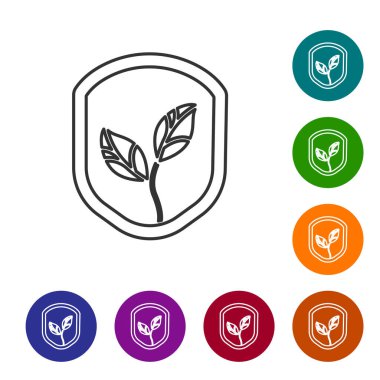 Beyaz arkaplanda yaprak simgesi olan siyah çizgi kalkanı. Yapraklı çevre dostu güvenlik kalkanı. Simgeleri renk daire düğmelerine ayarla. Vektör.