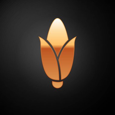 Siyah arkaplanda izole edilmiş altın mısır ikonu. Vektör.