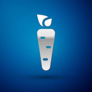 Gümüş Havuç simgesi mavi arkaplanda izole edilmiş. Vektör.