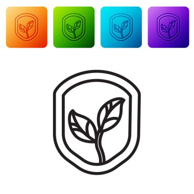 Beyaz arkaplanda yaprak simgesi olan siyah çizgi kalkanı. Yapraklı çevre dostu güvenlik kalkanı. Renkli kare düğmelerle simgeleri ayarla. Vektör.