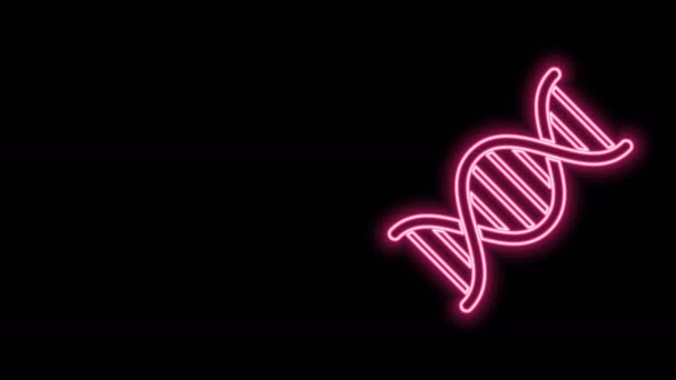 Zářící neonová čára symbol DNA ikona izolované na černém pozadí. Grafická animace pohybu videa 4K — Stock video