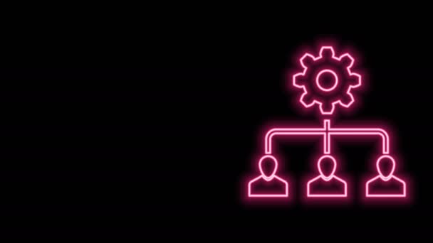 Ragyogó neon vonal Ólom menedzsment ikon elszigetelt fekete háttérrel. 4K Videó mozgás grafikus animáció — Stock videók