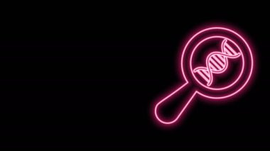 Parlayan neon hattı DNA araştırması, arama simgesi siyah arkaplanda izole edildi. Büyüteç ve DNA zinciri. Genetik mühendisliği, klonlama, babalık testi. 4K Video hareketli grafik canlandırması