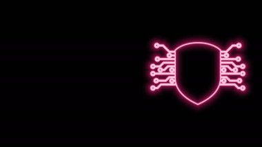 Parlayan neon hattı siber güvenlik simgesi siyah arkaplanda izole edildi. Kalkan işareti. Güvenlik kavramı. Dijital veri koruması. 4K Video hareketli grafik canlandırması