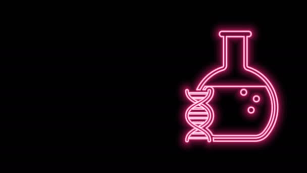 Žhnoucí neonové linie DNA výzkum, hledání ikona izolované na černém pozadí. Genetické inženýrství, genetické testování, klonování, testování otcovství. Grafická animace pohybu videa 4K — Stock video