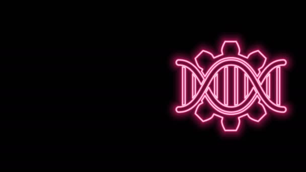 Línea de neón brillante Icono de ingeniería genética aislado sobre fondo negro. Análisis de ADN, pruebas genéticas, clonación, pruebas de paternidad. Animación gráfica de vídeo 4K — Vídeo de stock