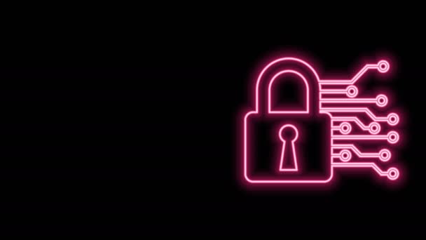 Gloeiende neon lijn Cyber security icoon geïsoleerd op zwarte achtergrond. Gesloten hangslot op digitale printplaat. Veiligheidsconcept. Digitale gegevensbescherming. 4K Video motion grafische animatie — Stockvideo