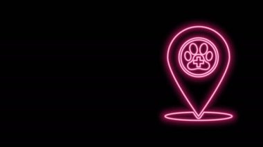 Siyah arka planda izole edilmiş hayvan ikonu için veterinerlik, klinik ya da evcil hayvan dükkanı olan parlak neon hattı haritası. Veteriner ya da veteriner kliniği. 4K Video hareketli grafik canlandırması