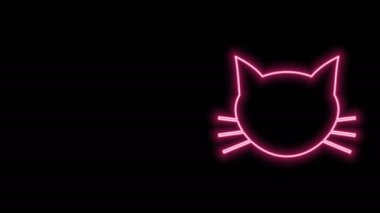 Parlayan neon hattı kedi simgesi siyah arkaplanda izole edildi. 4K Video hareketli grafik canlandırması