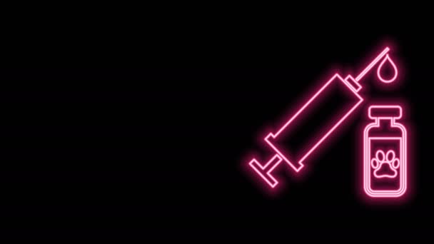 Linha de néon brilhante Seringa com ícone de vacina animal de estimação isolado em fundo preto. Impressão de pata de cão ou gato. Animação gráfica em movimento de vídeo 4K — Vídeo de Stock