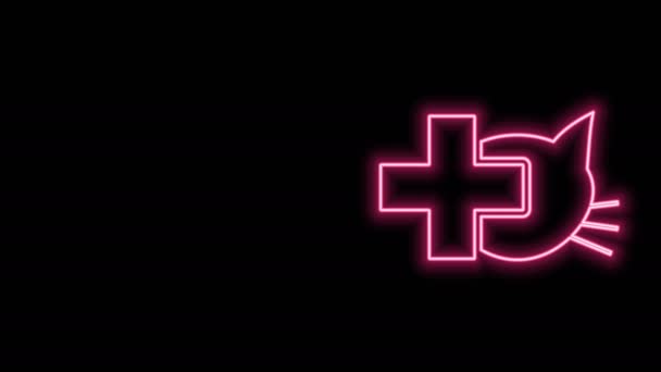 Zářící neonová linie Ikona symbolu veterinární kliniky izolovaná na černém pozadí. Kříž s kočičí veterinární péčí. Zvířecí znamení první pomoci. Grafická animace pohybu videa 4K