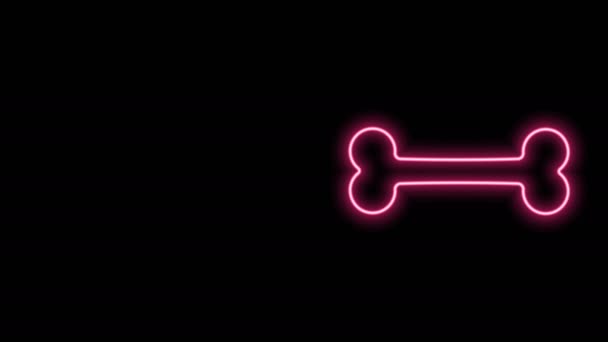 Ragyogó neon vonal Kutya csont ikon elszigetelt fekete háttér. Állateledel szimbólum. 4K Videó mozgás grafikus animáció