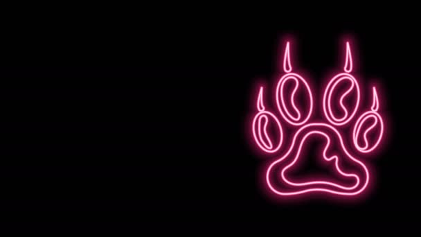 Gloeiende neon lijn Paw print icoon geïsoleerd op zwarte achtergrond. Afdruk van honden- of kattenpootjes. Dierenspoor. 4K Video motion grafische animatie — Stockvideo