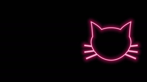 Linea neon luminosa Icona gatto isolata su sfondo nero. Animazione grafica 4K Video motion — Video Stock